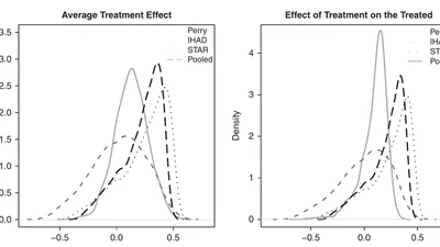 Bayesian Versus Maximum Likelihood Estimation of Treatment Effects in Bivariate Probit Instrumental Variable Models featured image