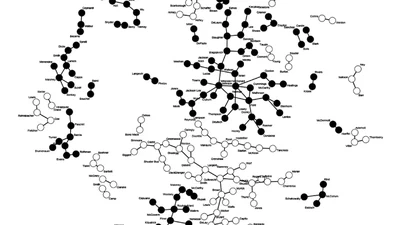The Effects of Congressional Staff Networks in the U.S. House of Representatives featured image